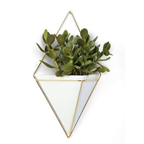 Hanging Planter Vase and Geometric Wall Decor Container