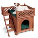 Wood Pet Home – Room With a View