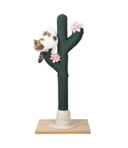 Cactus Cat Scratching Post