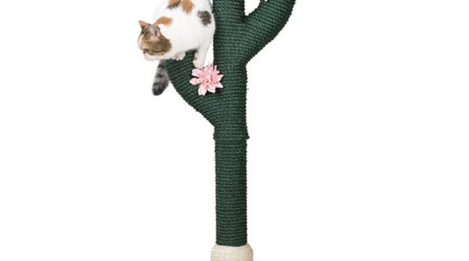 Cactus Cat Scratching Post