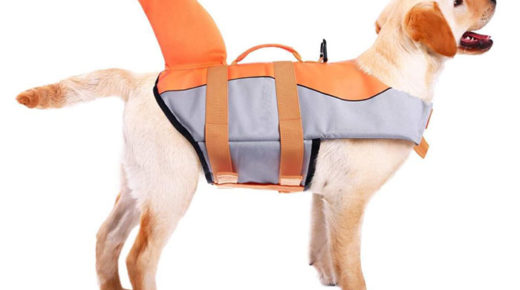 Shark Style Dog Life Jacket